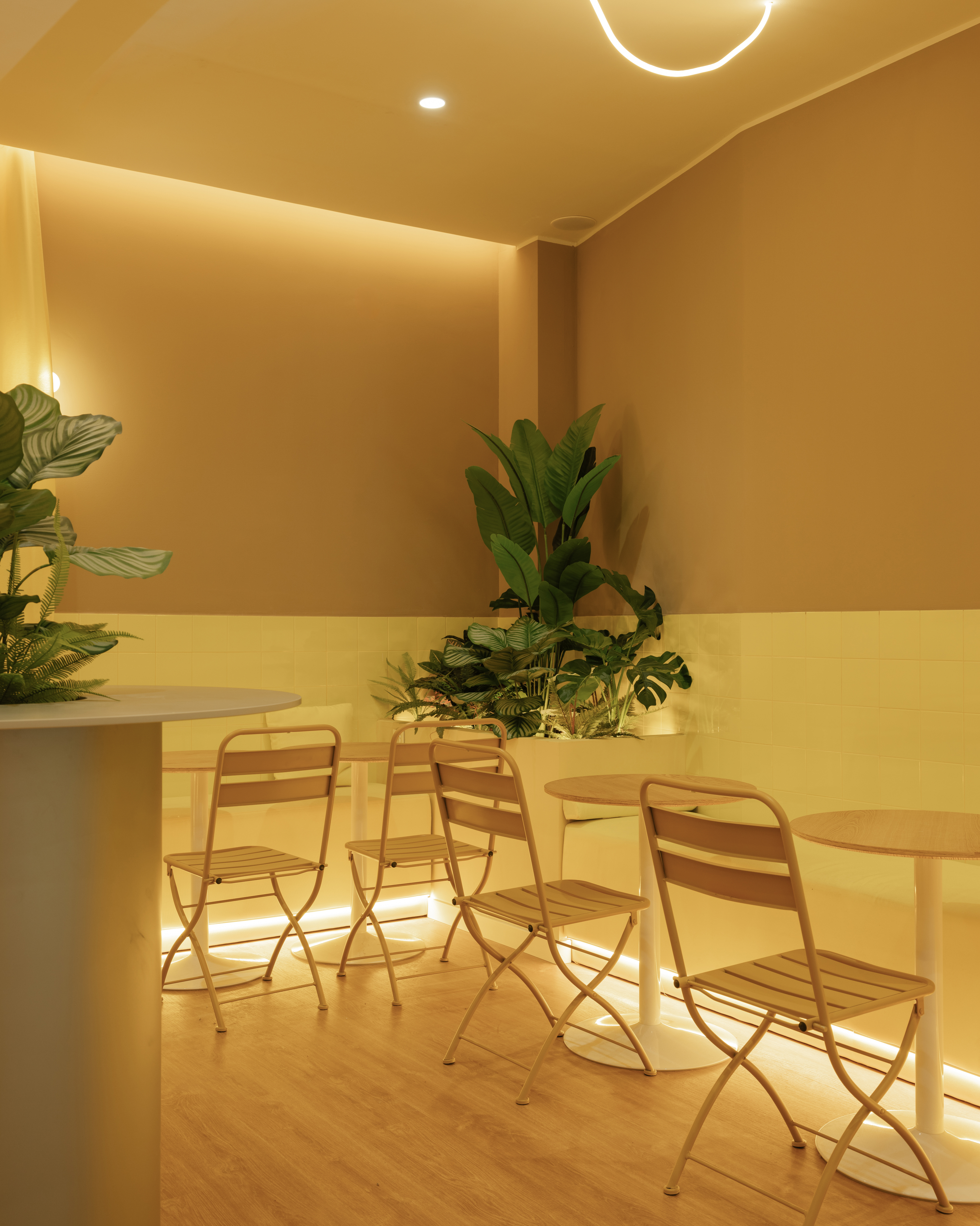 Interiorismo comercial de cafetería contemporánea Young Coffee